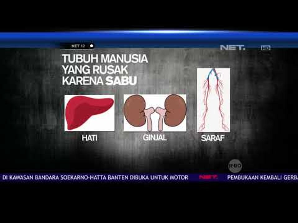 Bagian Tubuh Manusia yang Rusak Akibat Konsumsi Sabu - NET12