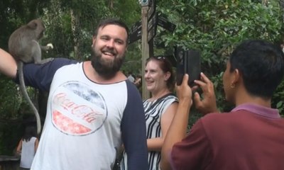 Menikmati Indahnya Alam di "Monkey Forest" Ditemani Kera