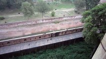 Monkeys at Agra Fort