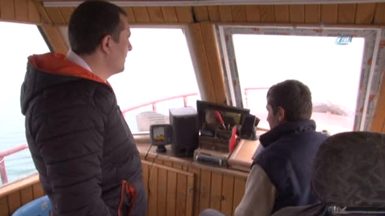 Van Gölü'nde Yaşayan İnci Kefali Balığı Tescillendi