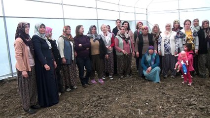 Çukurova kadın eliyle gül kokacak - OSMANİYE