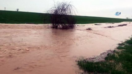 Kızıltepe'de tarlalar su altında kaldı