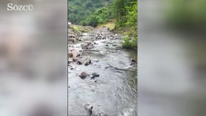 Çöp tesisine kimyasal atık döküldüğü iddiası