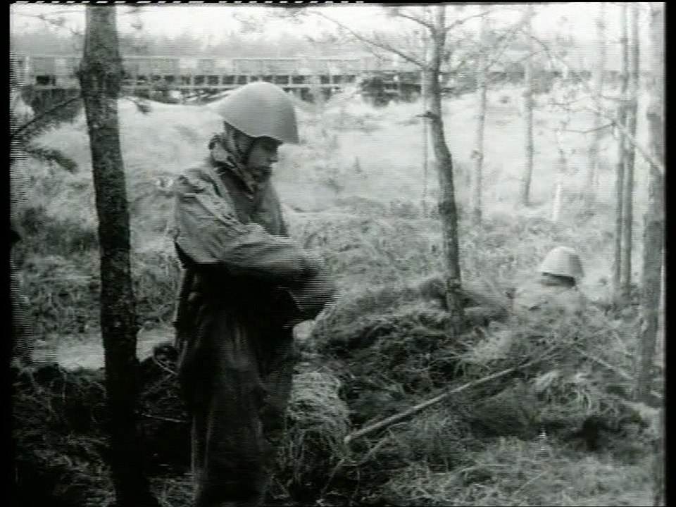 Militärtransporte mit der Eisenbahn. Die Verladung