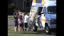 【犬】アイスクリーム屋さんに並ぶ列、先頭はワンコｗｗ