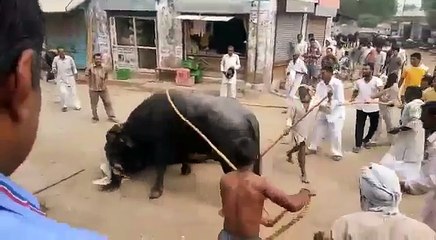 Hilarious Ghatak Movie Dialogues 😂 | Best Funny Clips