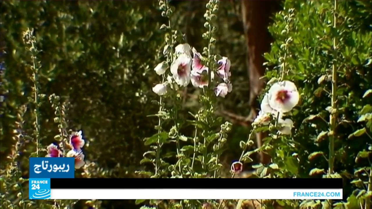 جزيرة "بوركرول" في فرنسا.. جمال الطبيعة وعذوبتها