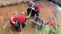 Des pompiers essaient d'attraper un anaconda géant