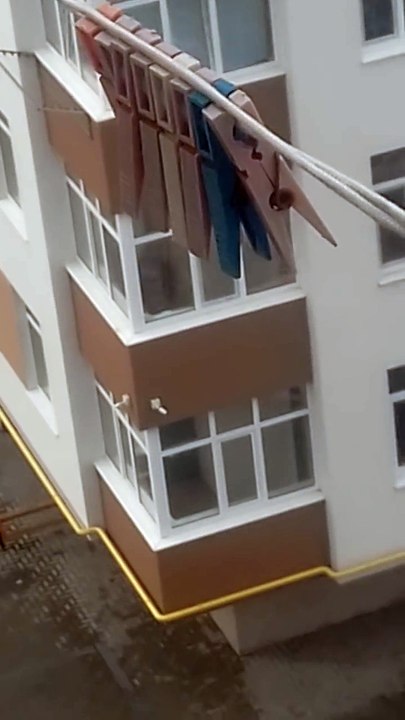 One Crazy Window Cleaning Lady