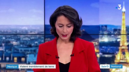 Le violoncelle d'Ophélie Gaillard a été retrouvé