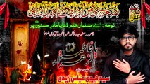 Ae Musalmano Zulm | Mehdi Abbas Zaidi Nohay Ayyam-e-Fatima S.A 1439/2018 HD