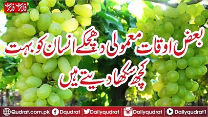 Sometimes a little blow man teaches a lot