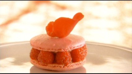 【マカロン】パリの名匠ピエール・エルメのマカロン　革命的パティシエの挑戦　バラ香るマカロン　名作イスパハン（２０１８年０２月０５日）