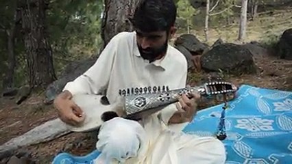 pashto mehfal