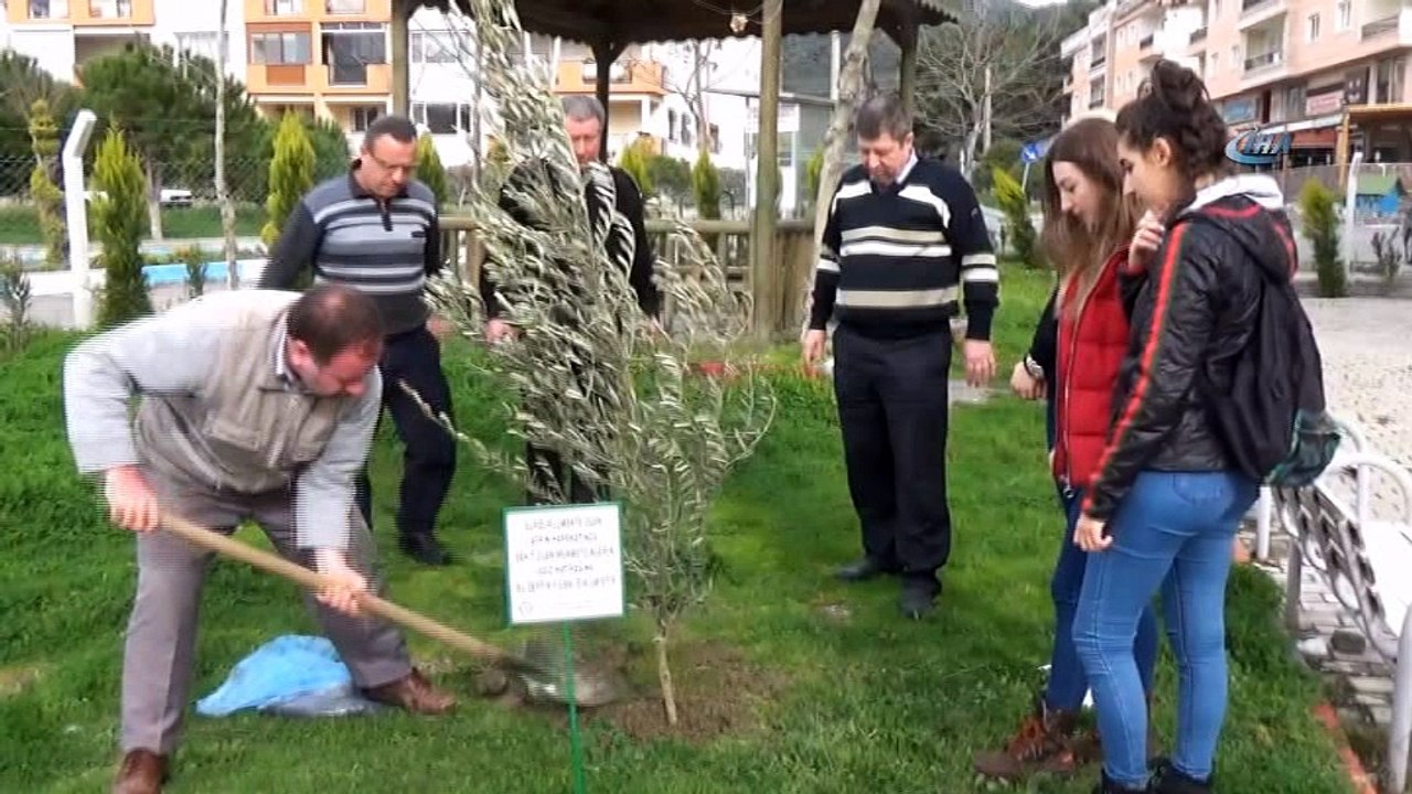 Söke’de Afrin Şehitlerinin anısına zeytin fidanı dikildi