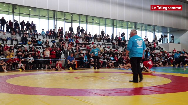 Back-hold. Guingamp capitale de la lutte celtique écossaise !