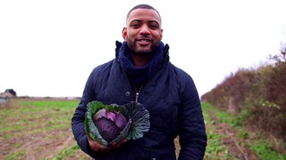 CBeebies   How to Grow Lettuce   Down on the Farm