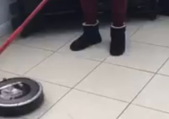 Welsh Woman With Roomba Proves Anybody Can Curl at Home