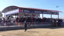 Pehlivan Develer Kozlarını Nazilli'de Paylaştı