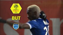 But Adama NIANE (88ème) / ESTAC Troyes - FC Metz - (1-0) - (ESTAC-FCM) / 2017-18