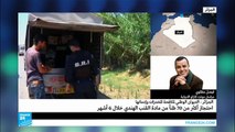 الجزائر: احتجاز أكثر من 70 طنا من مادة القنب الهندي خلال 6 أشهر