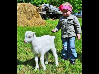 NIJE TO DAVNO NI BILO A DALI SE ZABORAVILO