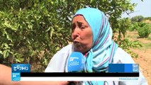 نساء الريف التونسي يعانين ظروفا اجتماعية واقتصادية صعبة