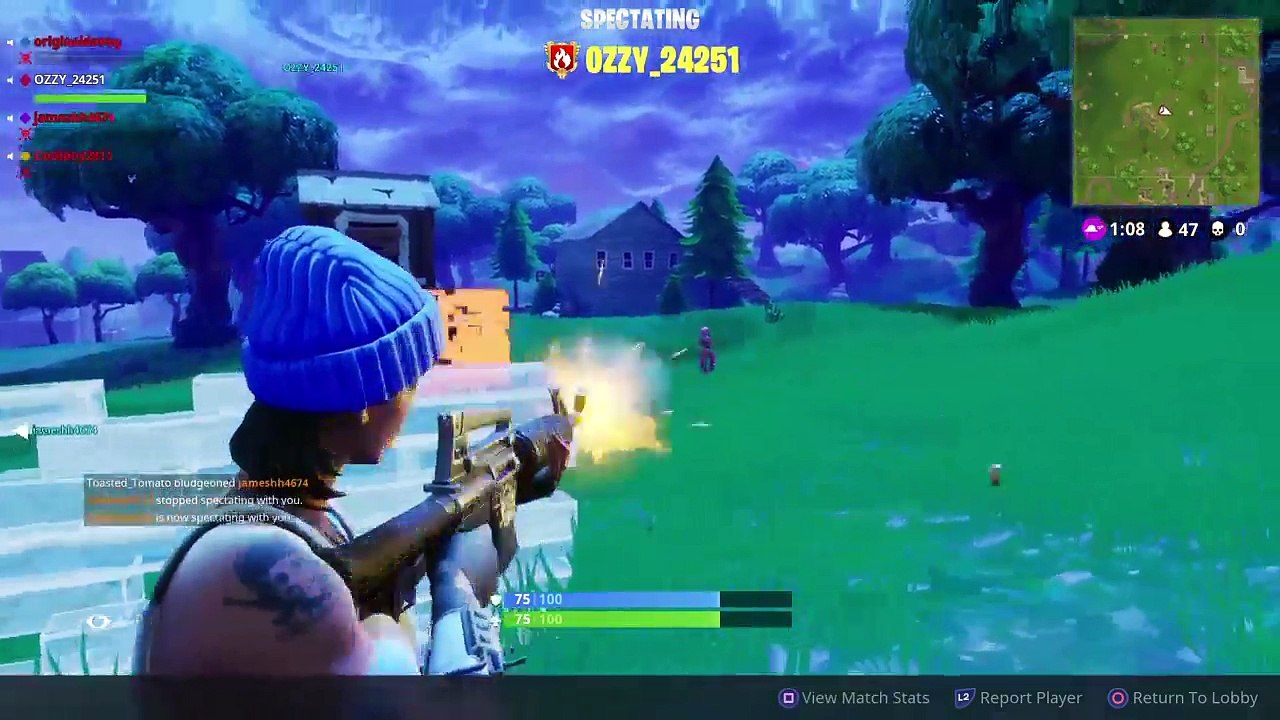 fortnite (3)
