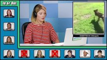 YouTubers React To Try To Watch This Without Laughing or Grinning #8