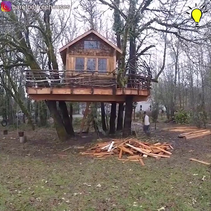 Tout seul il a fabriqué une magnifique cabane dans un arbre.