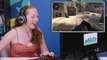 CS:GO - Counter Strike: Global Offensive (Teens React: Gaming)