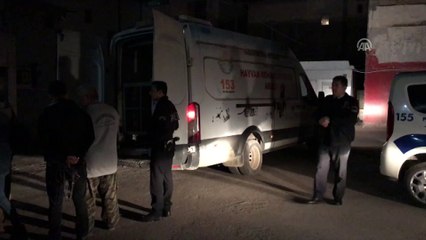 İki köpeğe işkence iddiası - ADANA