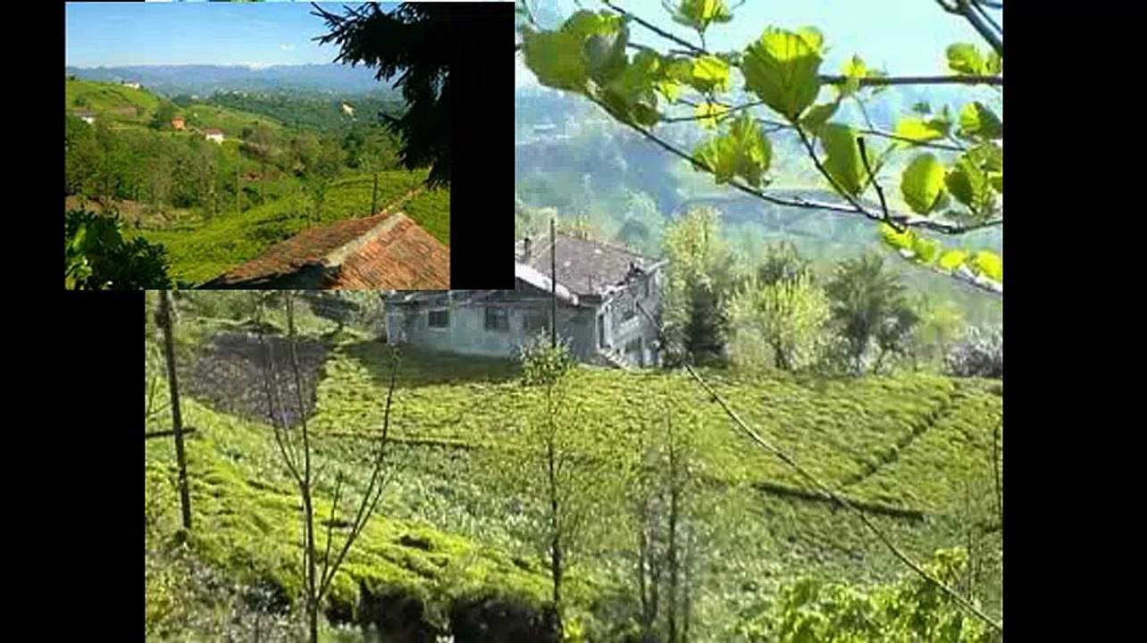 Of Sivrice Köyü