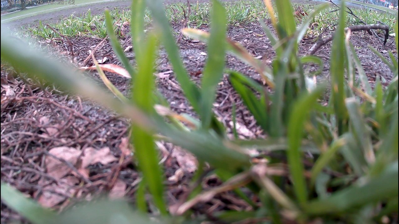 Drohnenflug Berlin Weinbergspark Januar 19
