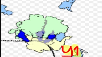 Quá trình tổng hợp protein