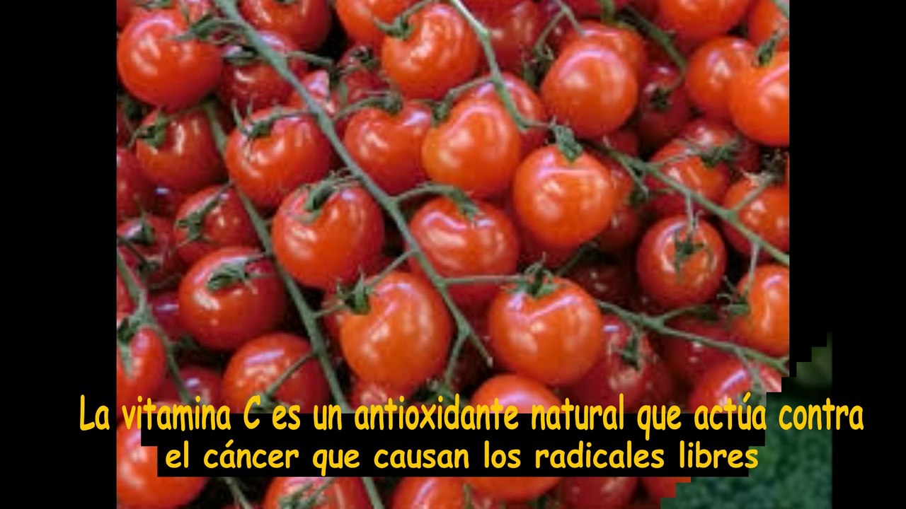 Beneficios y propiedades del tomate