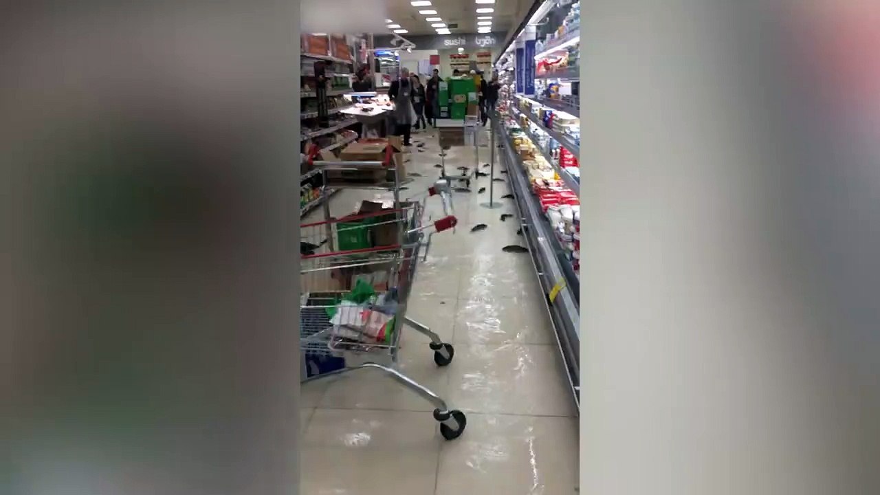 Akvaryum kırıldı, balıklar ortaya saçıldı Haber