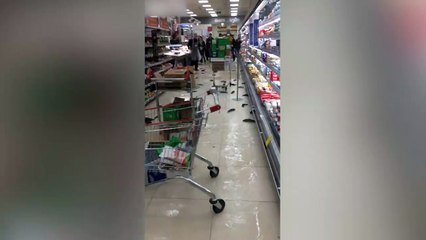 Akvaryum kırıldı, balıklar ortaya saçıldı Haber