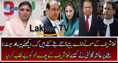 Ayesha Gulali Bashing And Takes Class of Nawaz Family