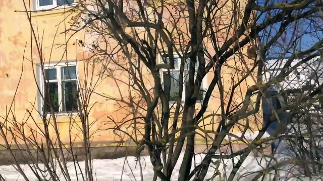 Школьные будни - Это наш веник!