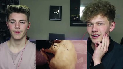 Harry Styles - Sweet Creature Reaction
