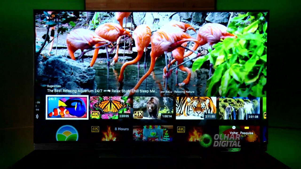 Saiba o que define a melhor TV 4K top de linha...