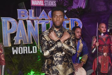 'Black Panther' Breaks Box Office Records in Debut