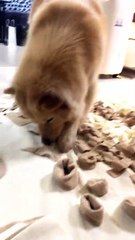 9MUSES Kyungri (박경리) Instagram Live [180219]