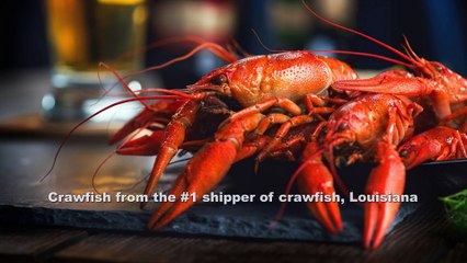 Buy Live Crawfish Online | Fresh Crawfish For Sale - Louisiana Crawfish Company(888.522.7292)