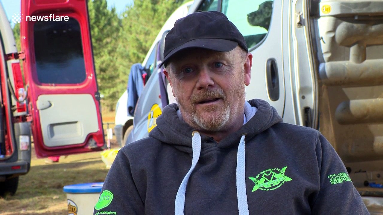 Who let the dogs out? Welcome to the British Siberian husky racing championships