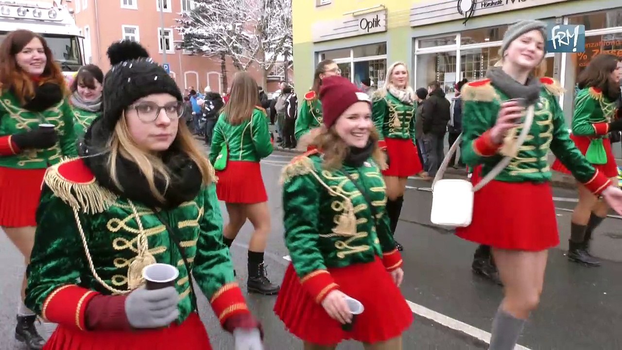 Faschingsumzug in Freital