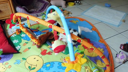 Nouage 18 02 18: Key Details