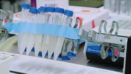 The Strange Science of the Veggie Burger That Bleeds