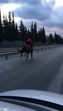 En pleine entrainement pour une course clandestine à cheval il se prend un poteau... Impressionnant